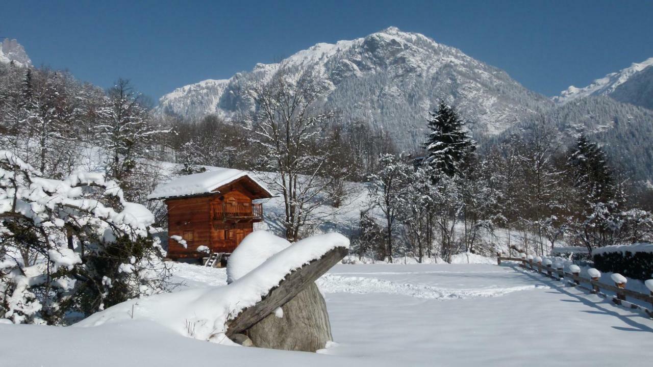 Chamonix Petit Chalet Cocooning سيرفوز المظهر الخارجي الصورة